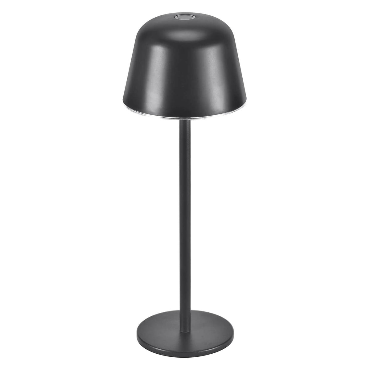 Lampe extérieure anthracite sur pied, vue de face sur fond blanc.