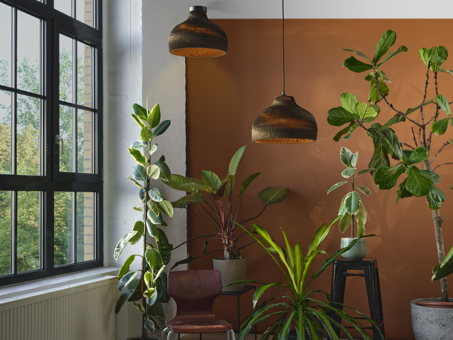 Scène de vie avec deux luminaires en carton, plantes vertes et grande fenêtre.