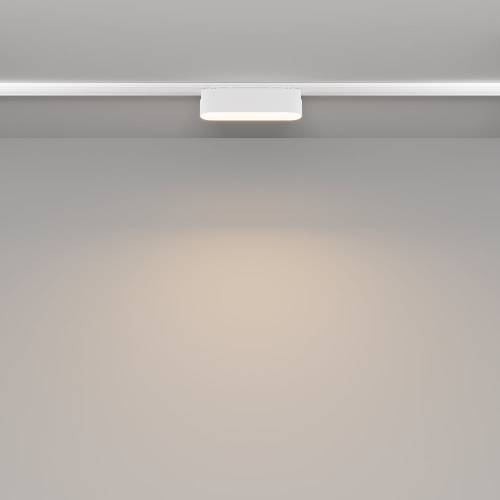 Basis Spot blanc