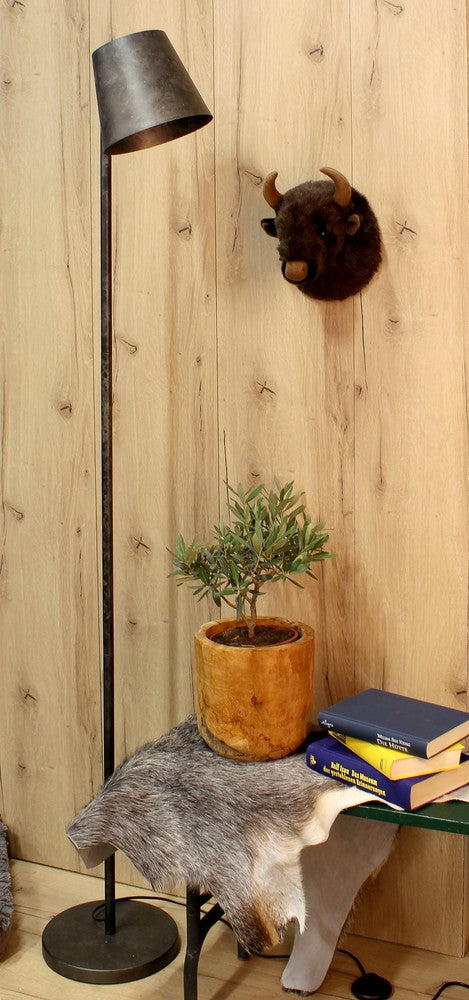 Mise en ambiance avec plante, livres et peau de bête près du lampadaire