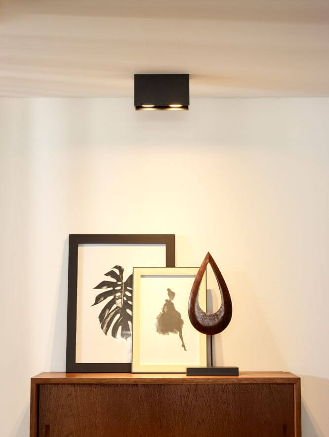 Plafonnier Bodi 2 lumières noir