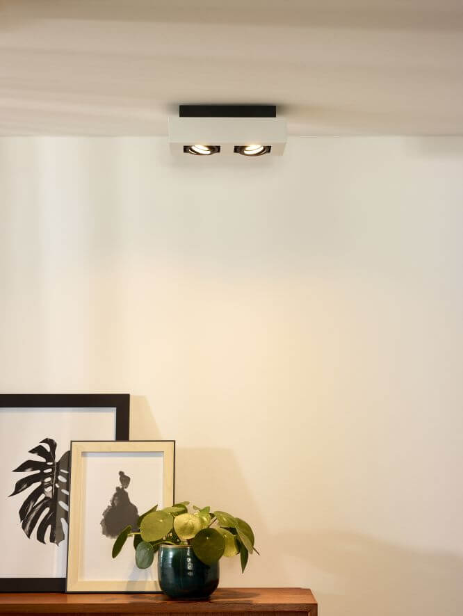 Mise en ambiance du plafonnier allumé au-dessus d'un meuble, cadres et plante verte