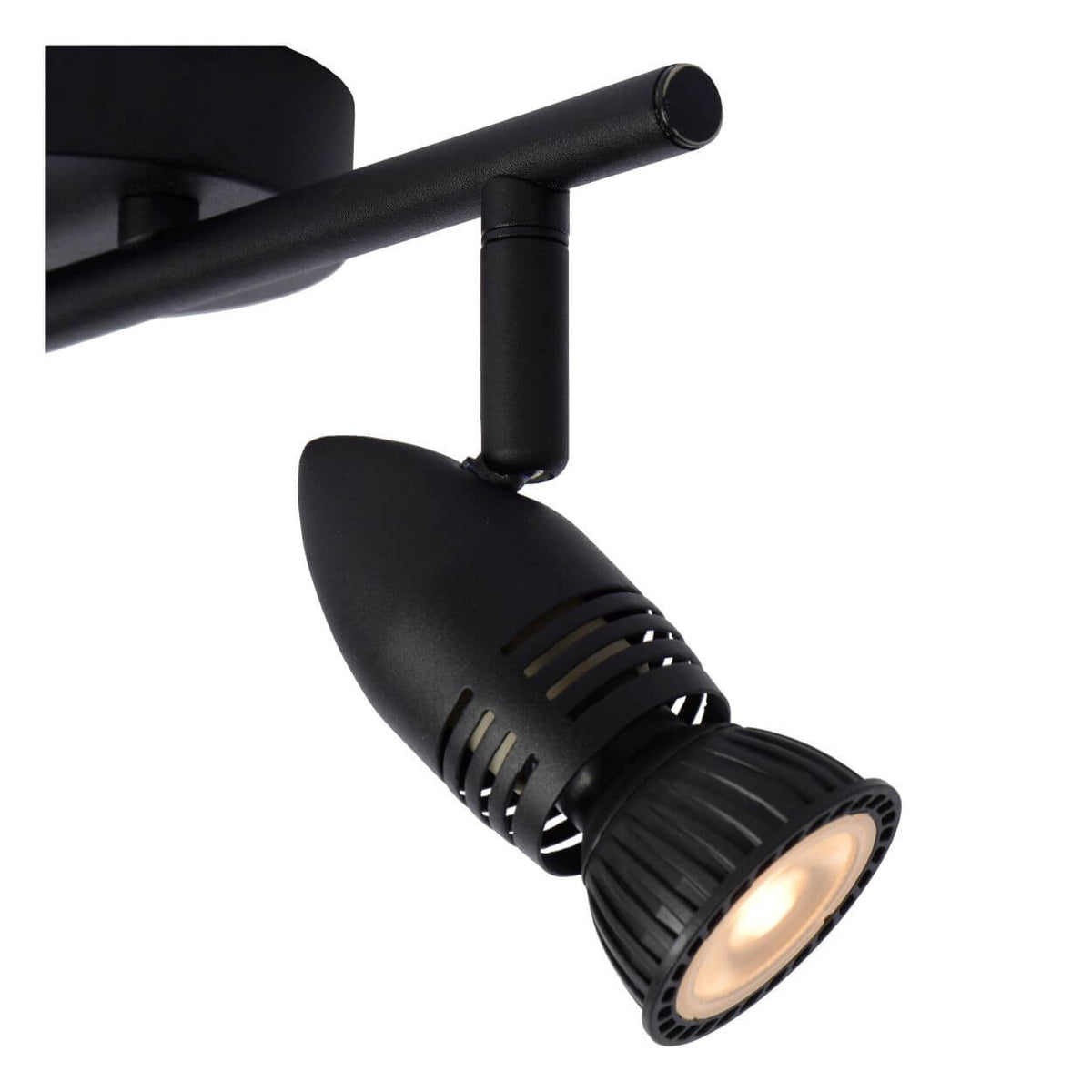 Plafonnier Caro 2 lumières noir