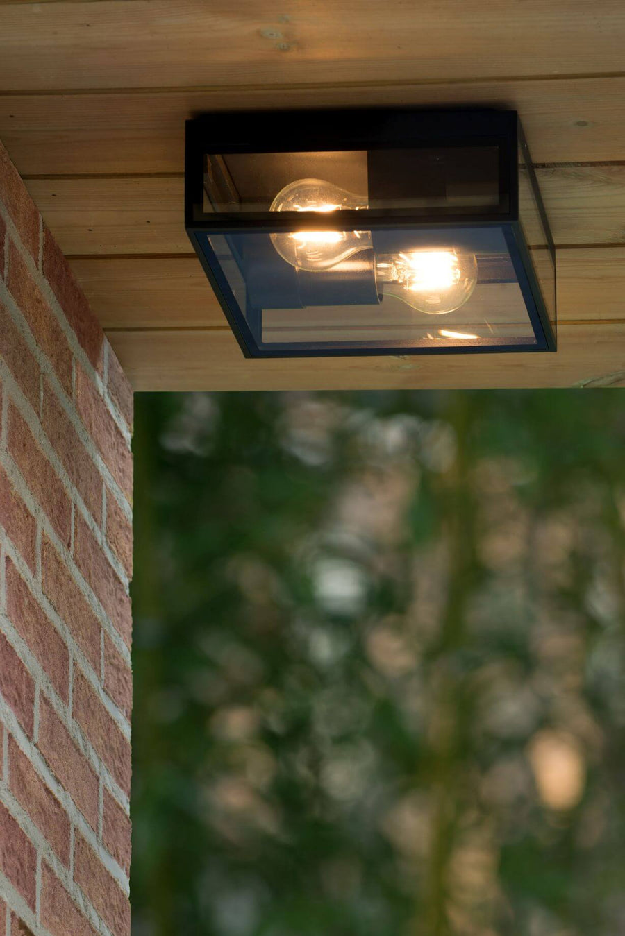 Plafonnier extérieur Dukan 2 lumières noir, verre