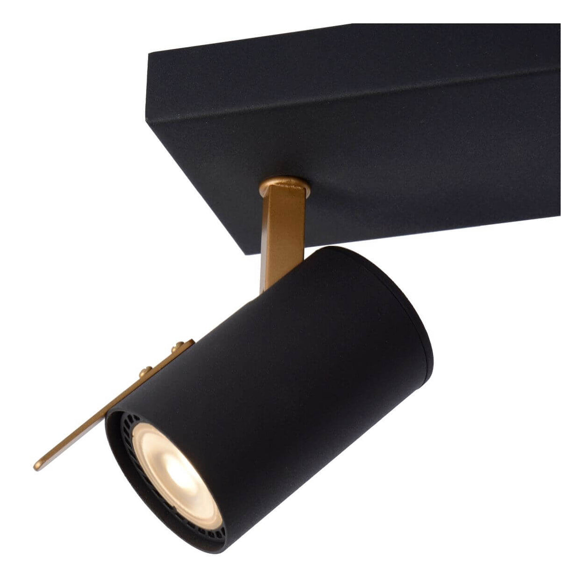 Plafonnier Grony 2 lumières noir et doré mat