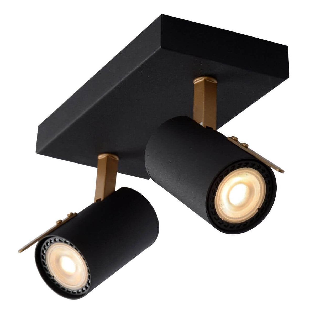 Plafonnier Grony 2 lumières noir et doré mat