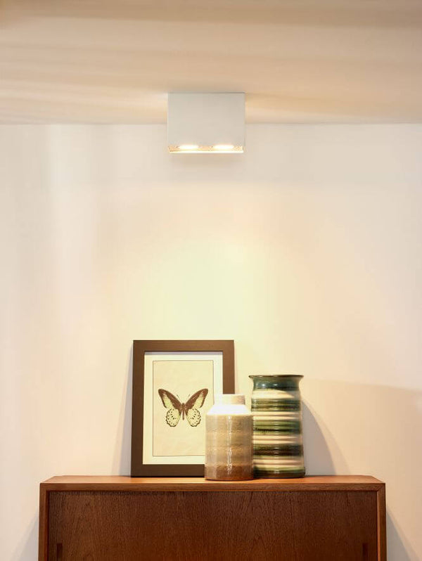 Plafonnier Tube 2 lumières blanc, L 18,5 cm
