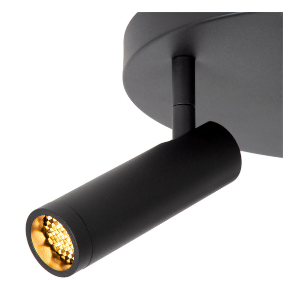 Spot LED | Zenberora