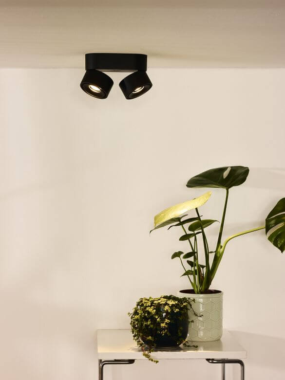 Vue rapprochée du même plafonnier allumé au-dessus d'une plante d'intérieur