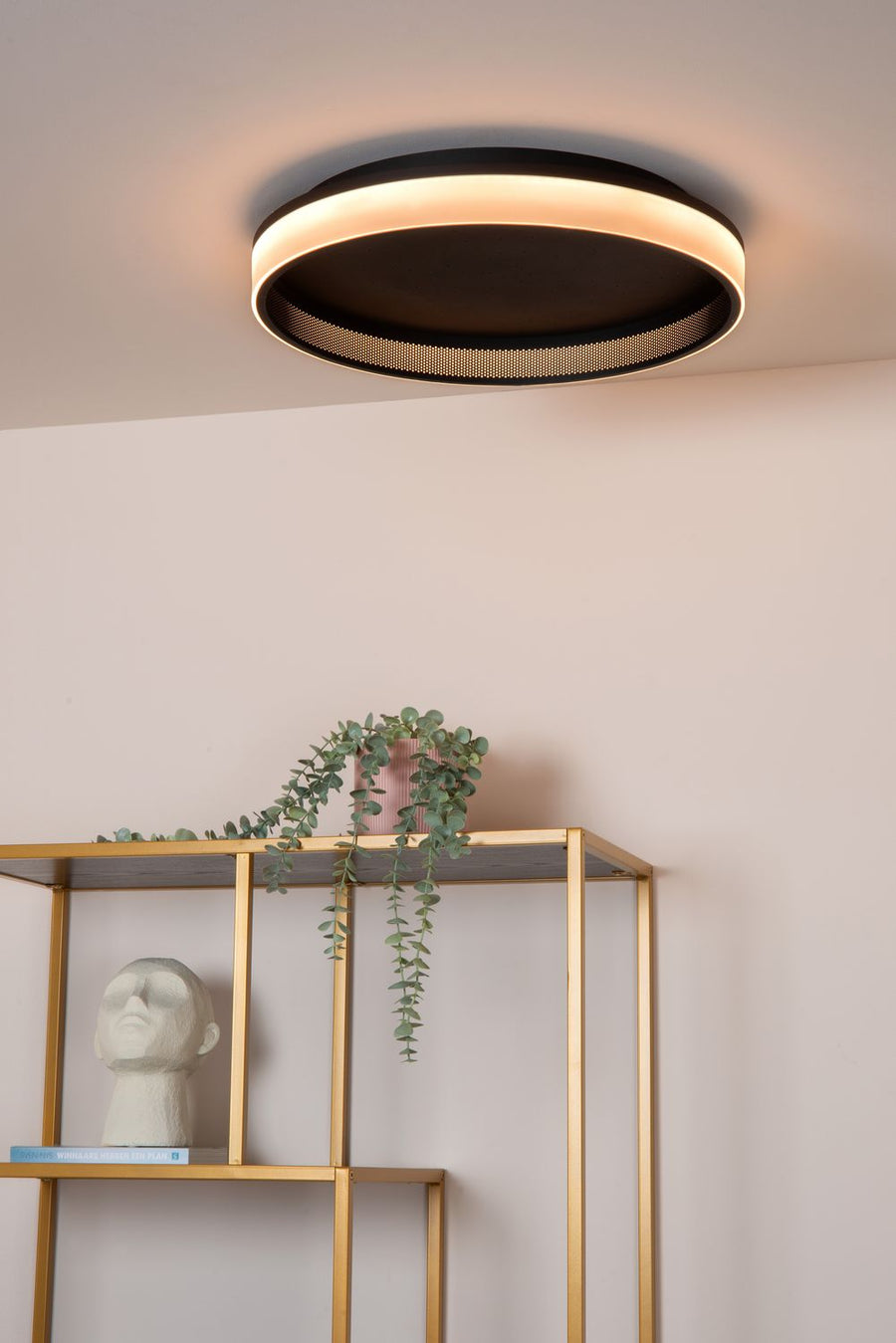 Vue de dessous du plafonnier allumé au-dessus de l'étagère et plante
