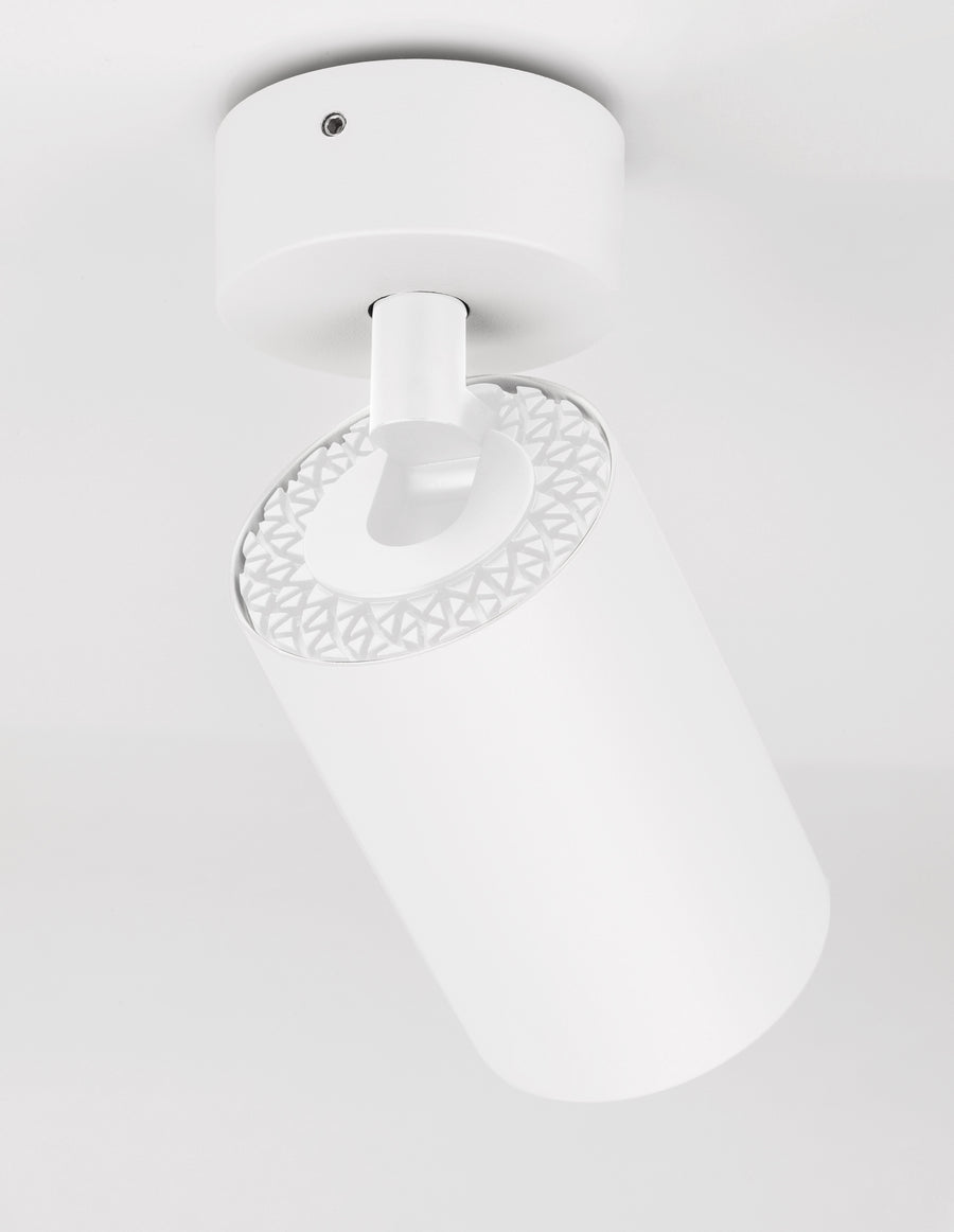 Détail de la rotule et de la couronne crantée, spot blanc fortement incliné