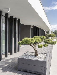 Luminaire extérieur | Dara Blanc