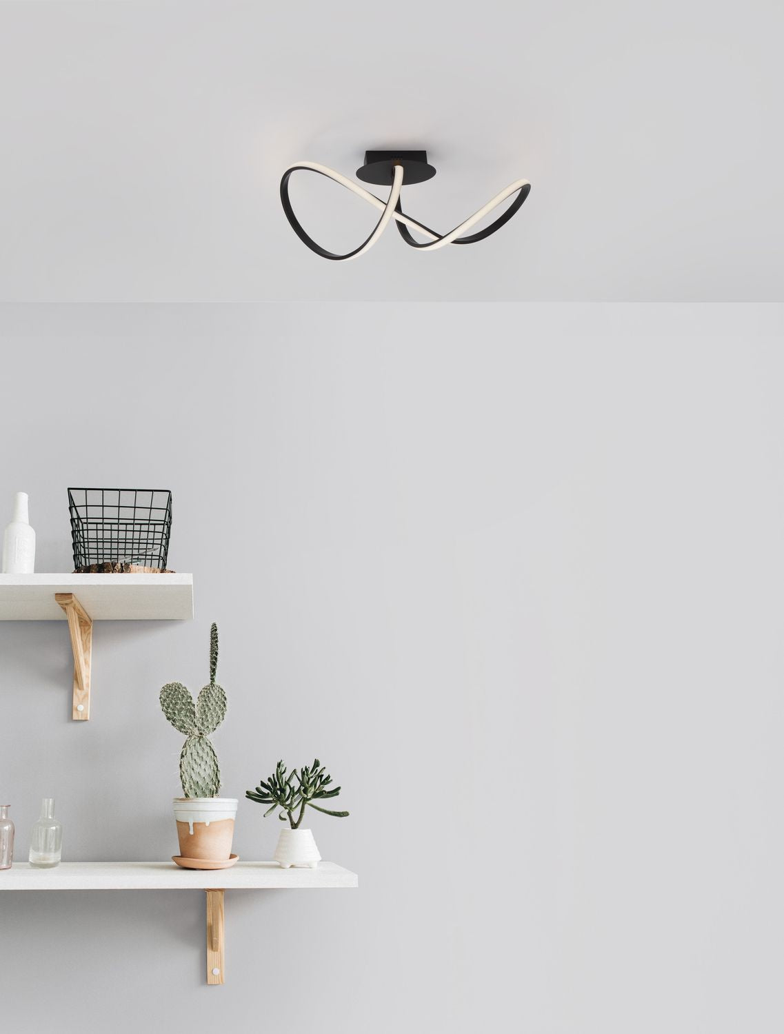 Plafonnier noir installé au plafond dans un intérieur clair avec étagères et cactus