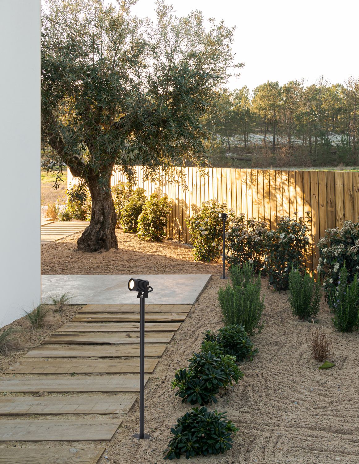 Luminaire sur tige planté dans un jardin de gravier, près d'un olivier et d'une palissade