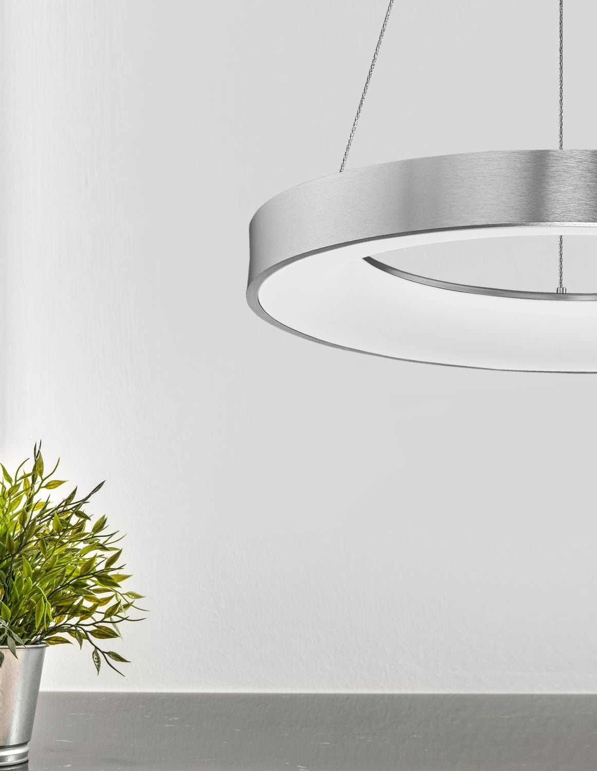 Suspension ronde en aluminium brossé installée au-dessus d'une plante verte en pot