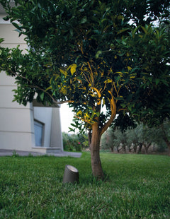 Luminaire extérieur | Fox Grise