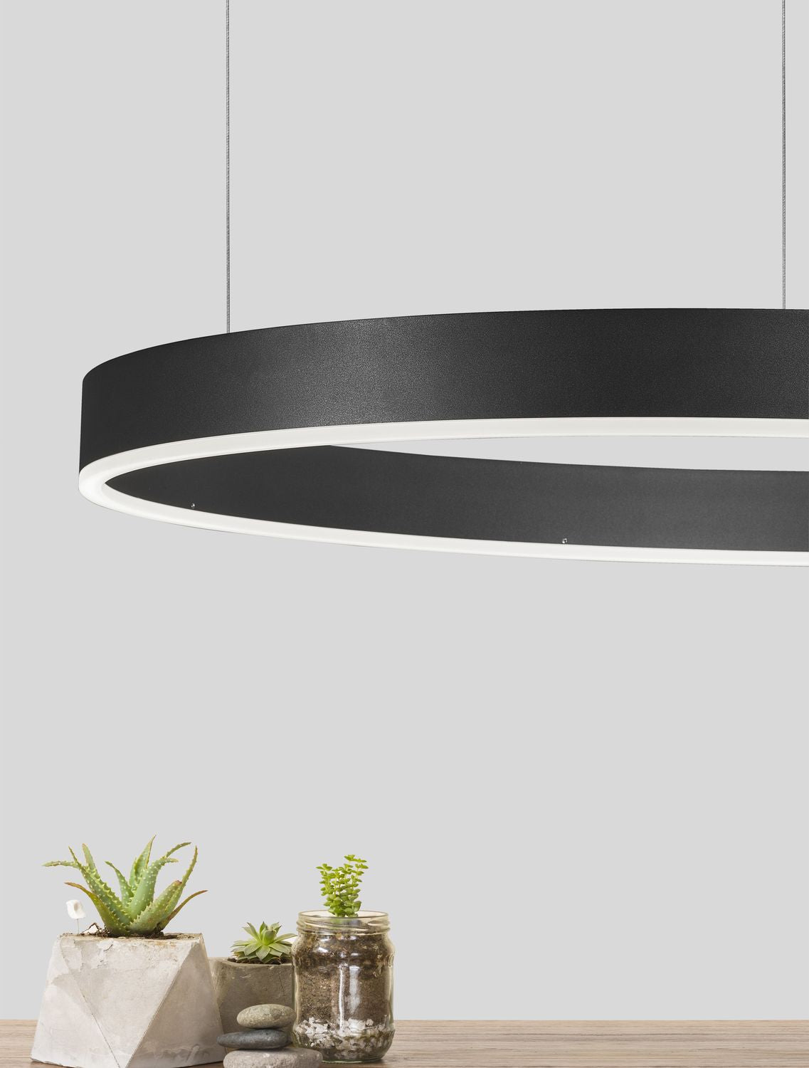 Vue d'ambiance d'une suspension annulaire noire allumée au-dessus d'une table avec plantes décoratives