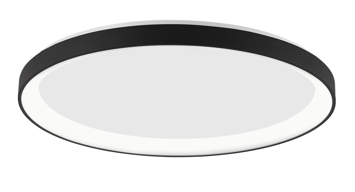 Vue en plongée du plafonnier noir avec diffuseur blanc et cercle extérieur