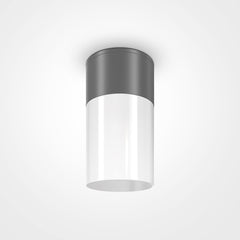 Willis Luminaire