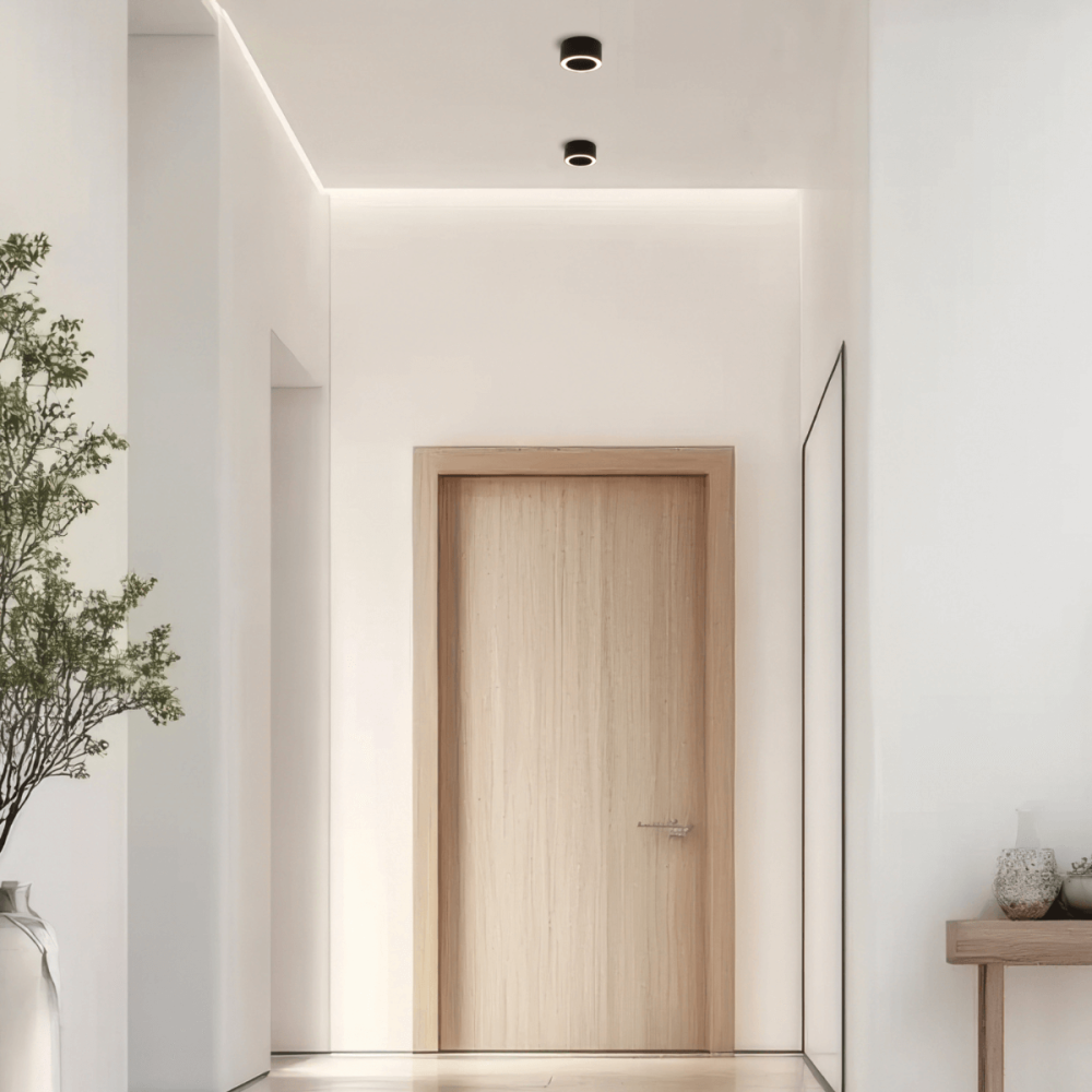 Mise en ambiance dans un couloir clair, deux plafonniers au-dessus d'une porte en bois