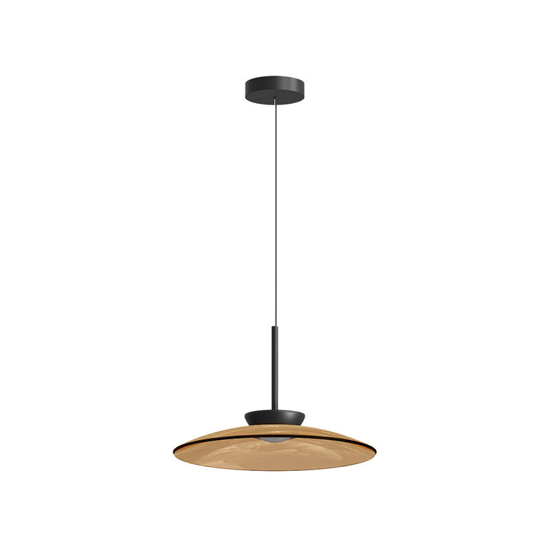 Suspension luminaire | Vire