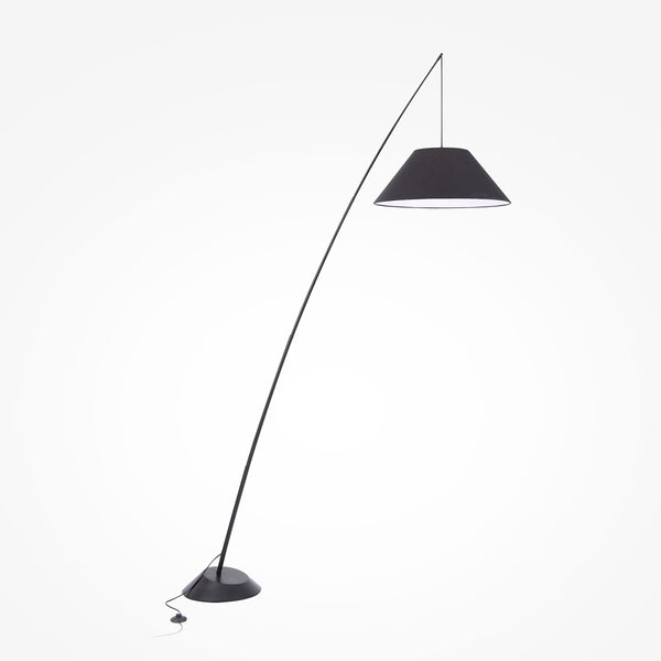 Campanula Lampadaire noir