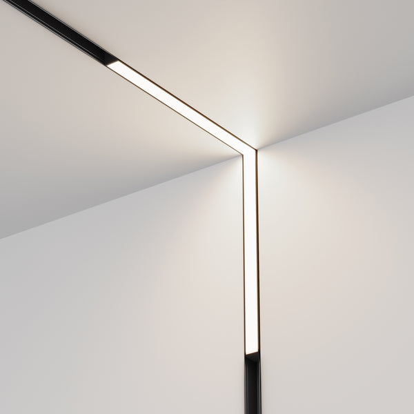 Basis Spot noir