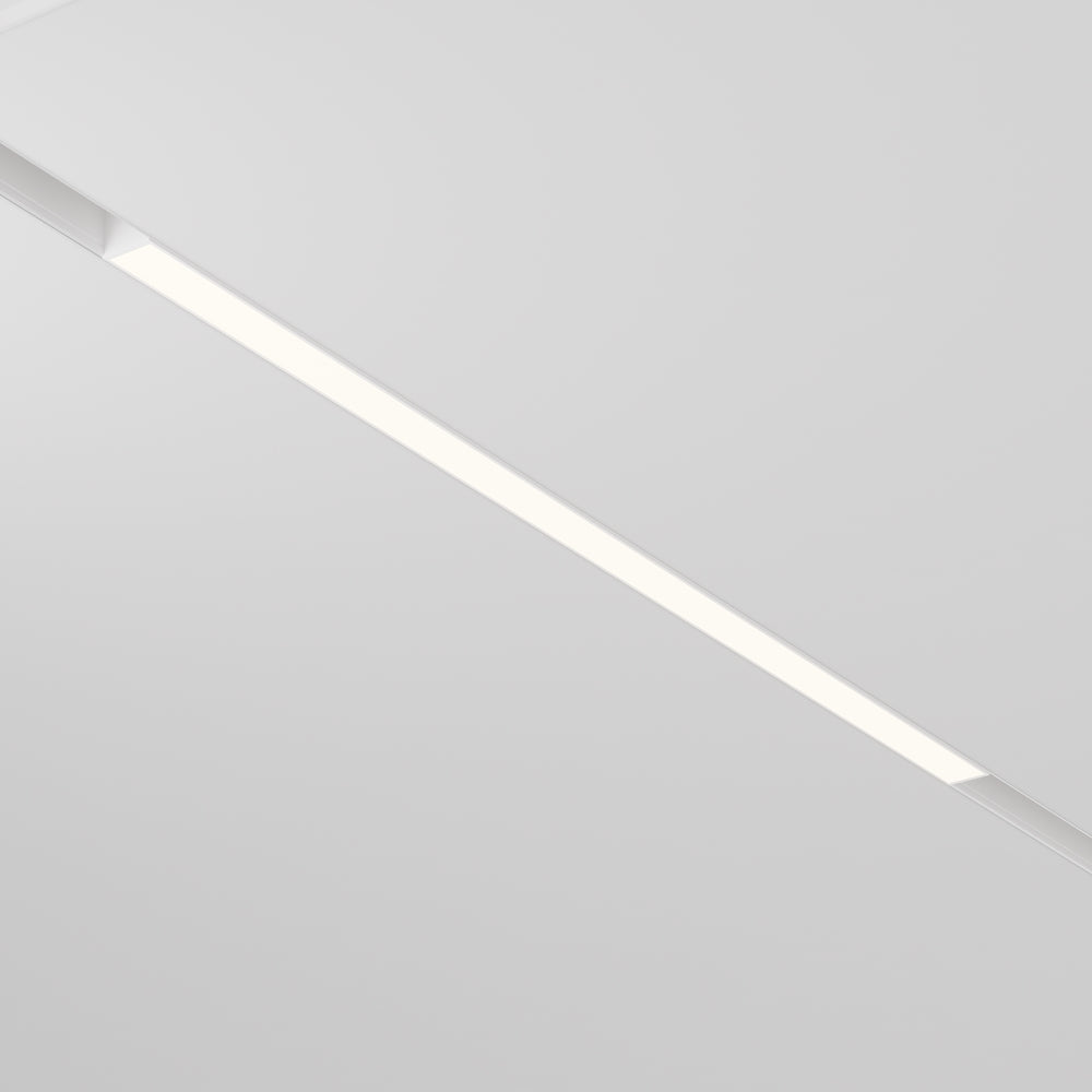 Basis Spot blanc