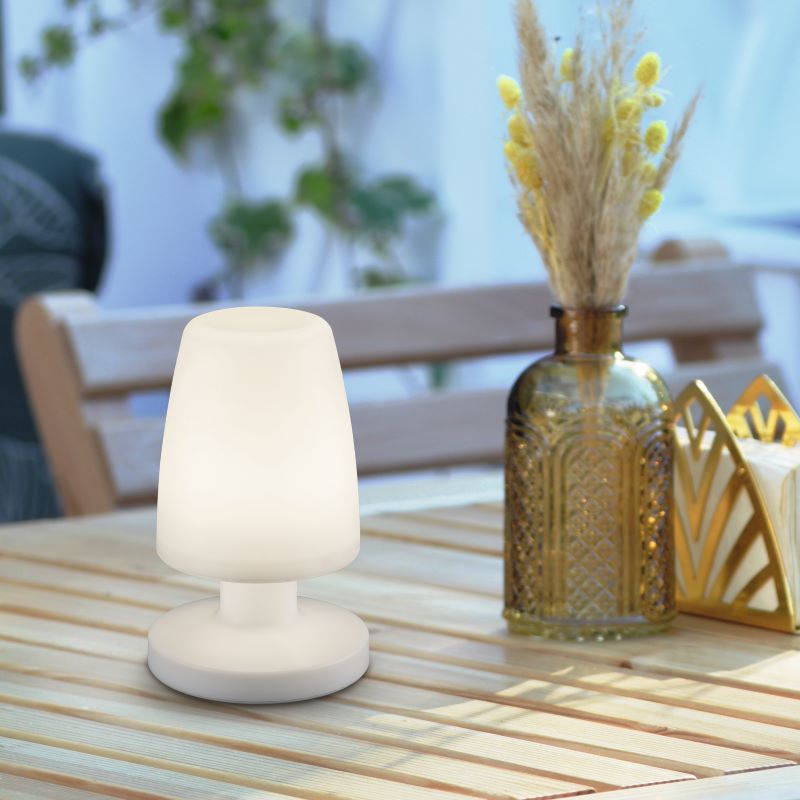 Lampe posée sur table en bois avec vase et plante séchée