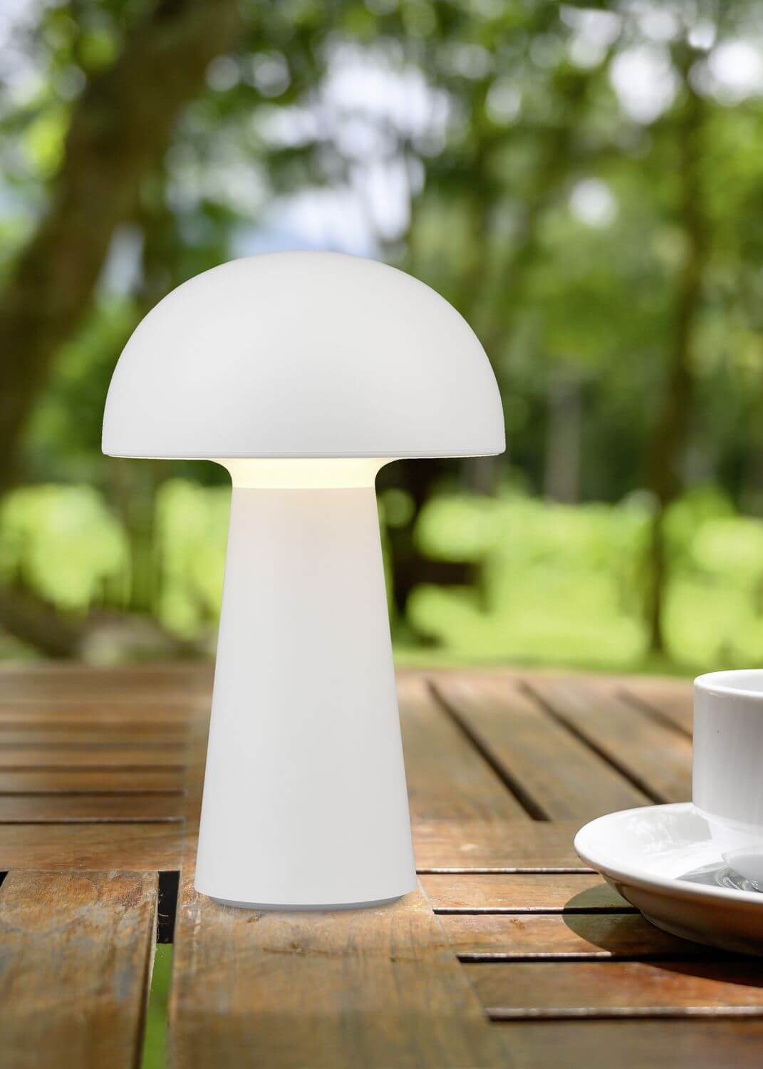 Mise en ambiance sur table en bois, lampe allumée dans un jardin ensoleillé