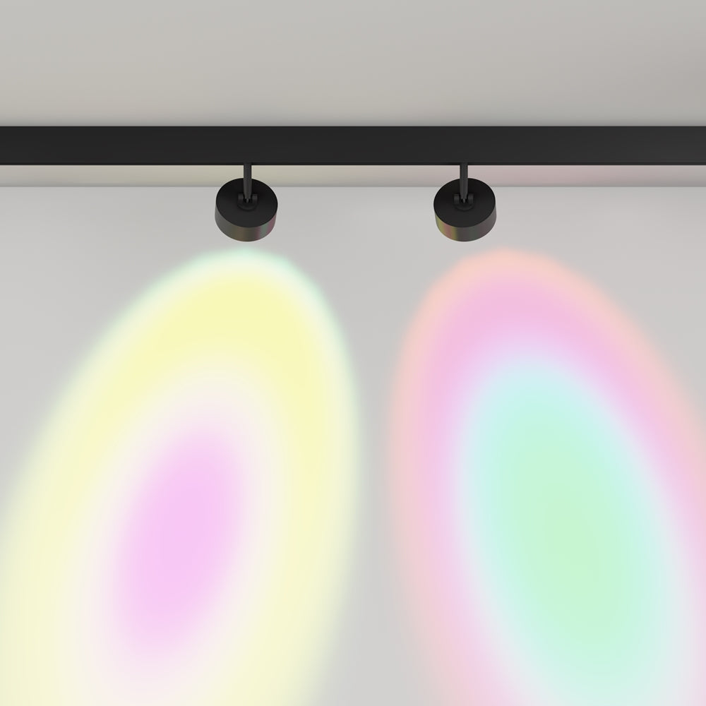 Lens Spot noir