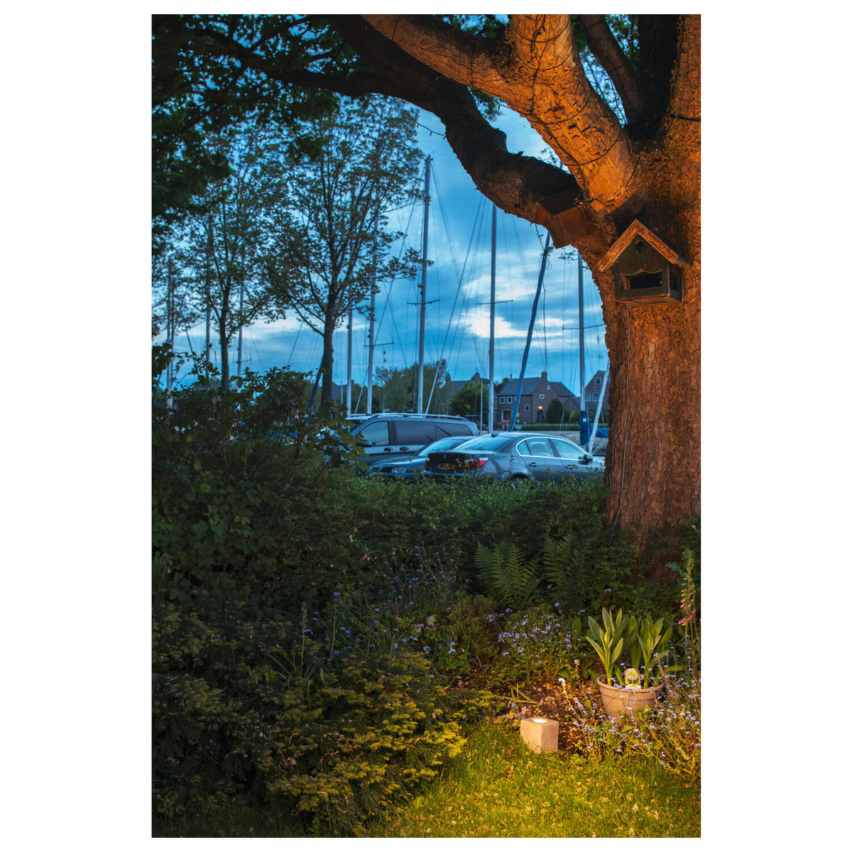 Scène de jardin au crépuscule avec le cube lumineux éclairant des plantes.