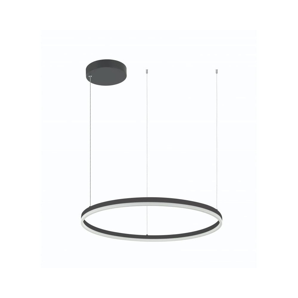 Luminaire suspendu annulaire noir vu de face sur fond blanc