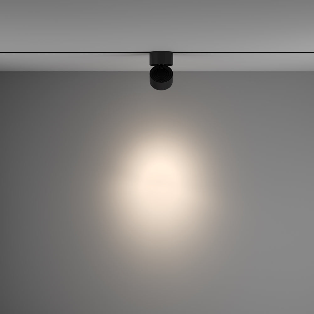 Yin Spot noir