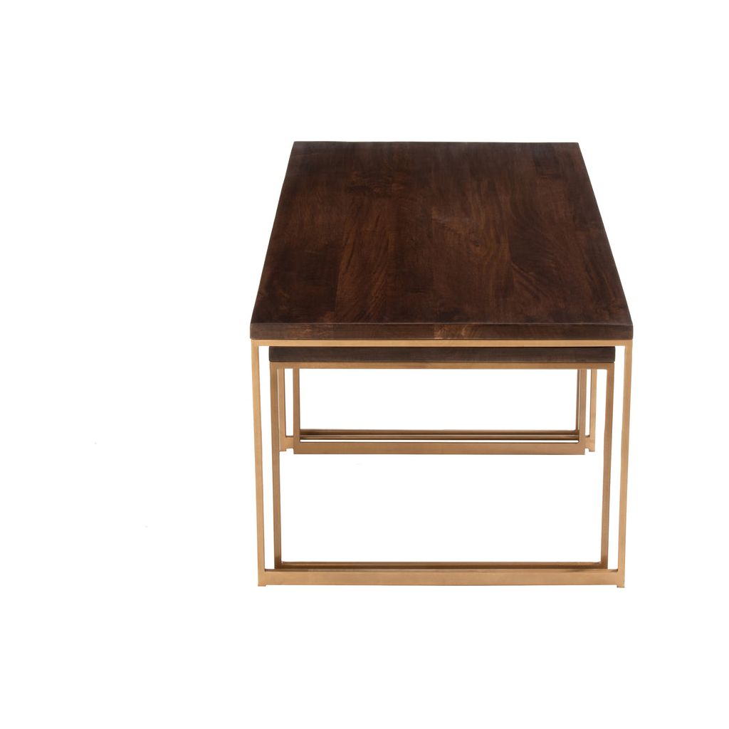 Table Basse Rafi Fer Bois Mangue - Designix