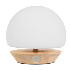 Lampe de chevet | Rosisto