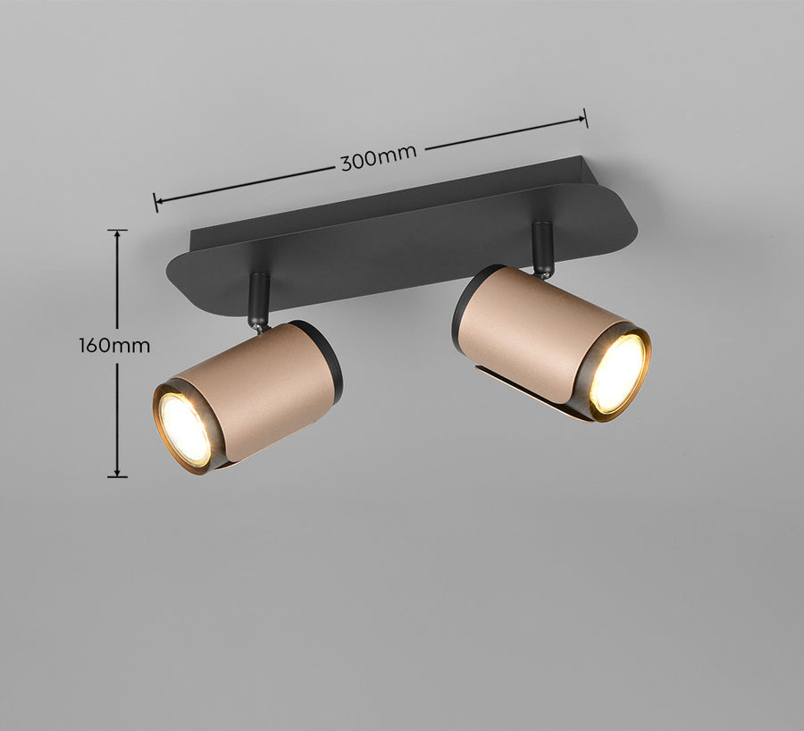 Schéma de dimensions sur fond gris : 300 mm de large et 160 mm de hauteur
