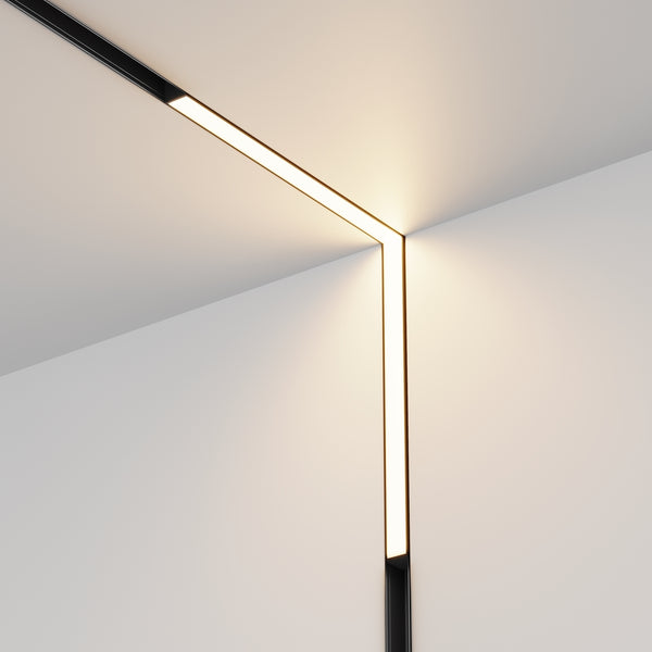 Basis Spot noir