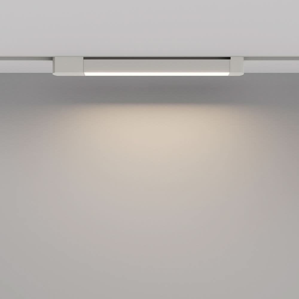Basis Rot Spot blanc