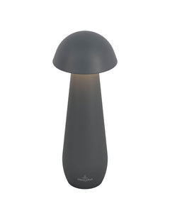 Luminaire extérieur | Modena Anthracite L 21 cm