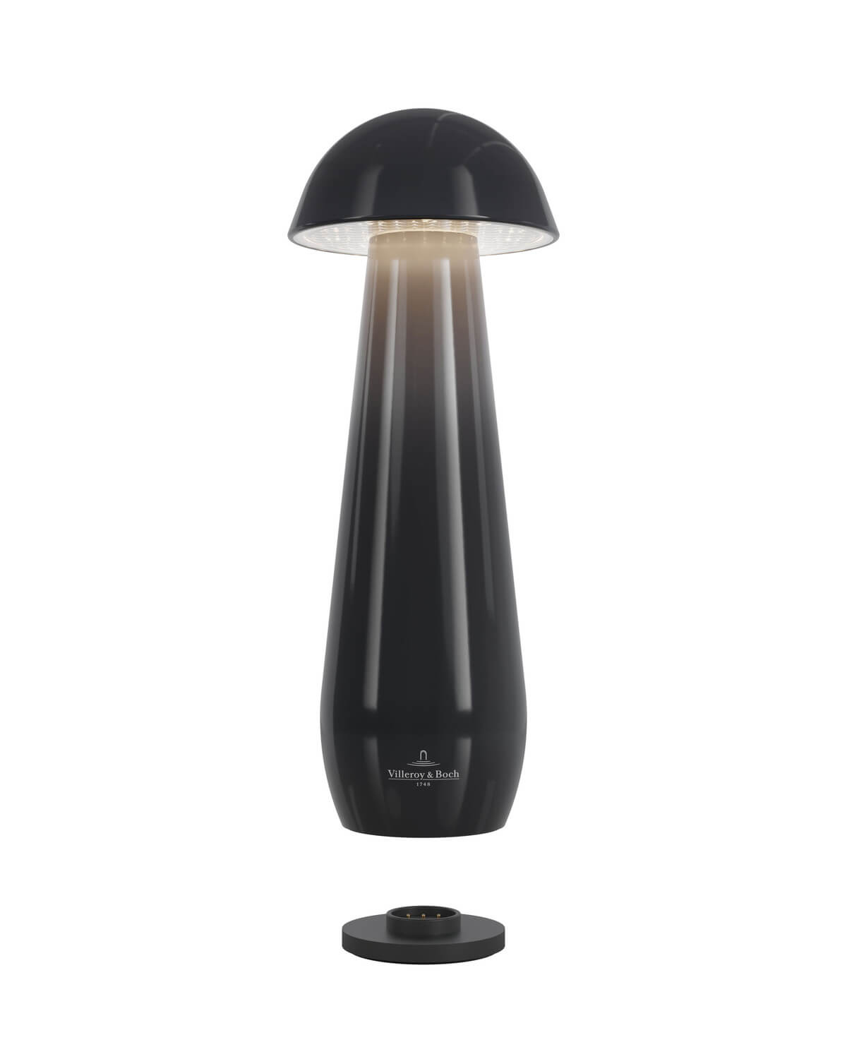 Lampe extérieure Modena noire, L 21 cm (97298)