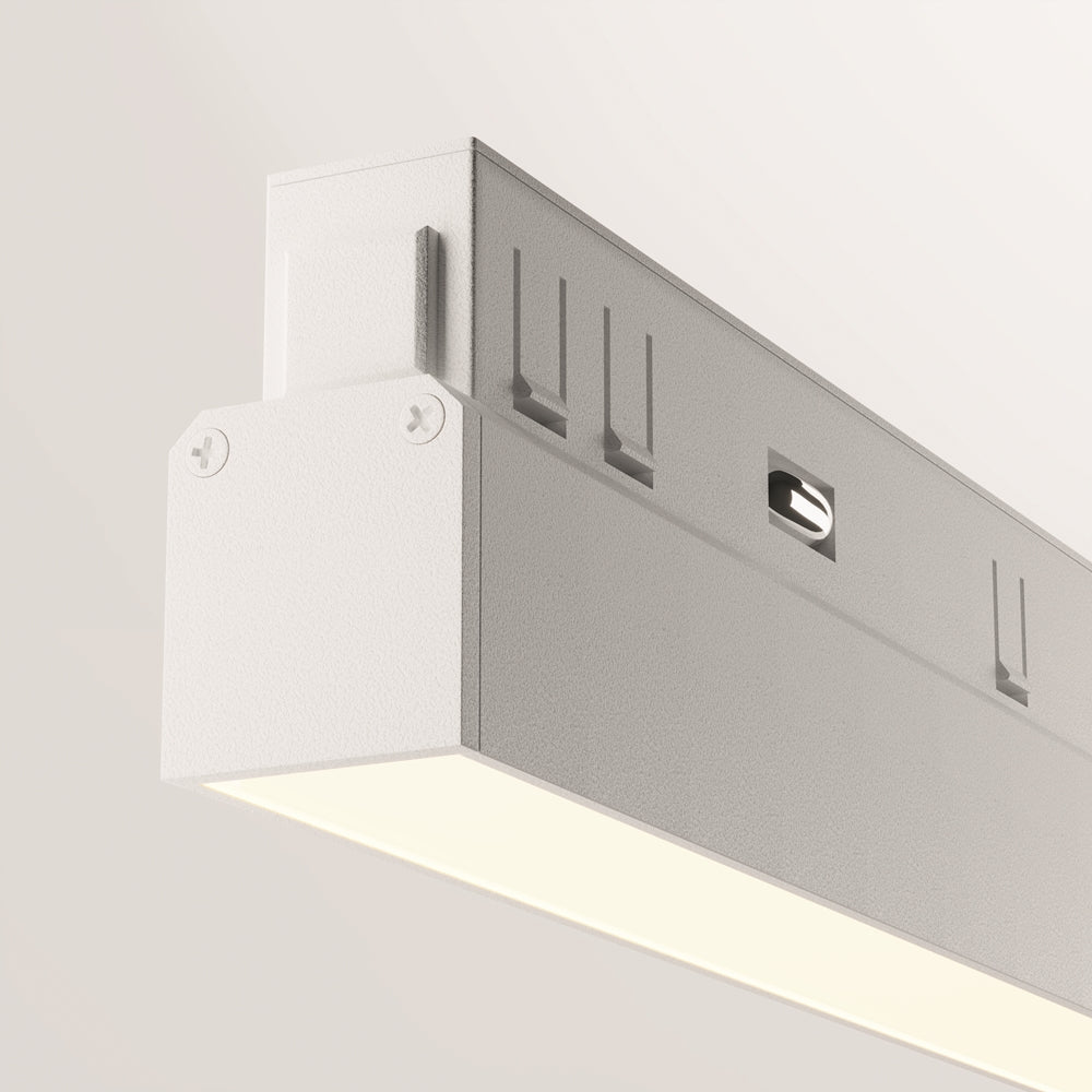 Basis Spot blanc