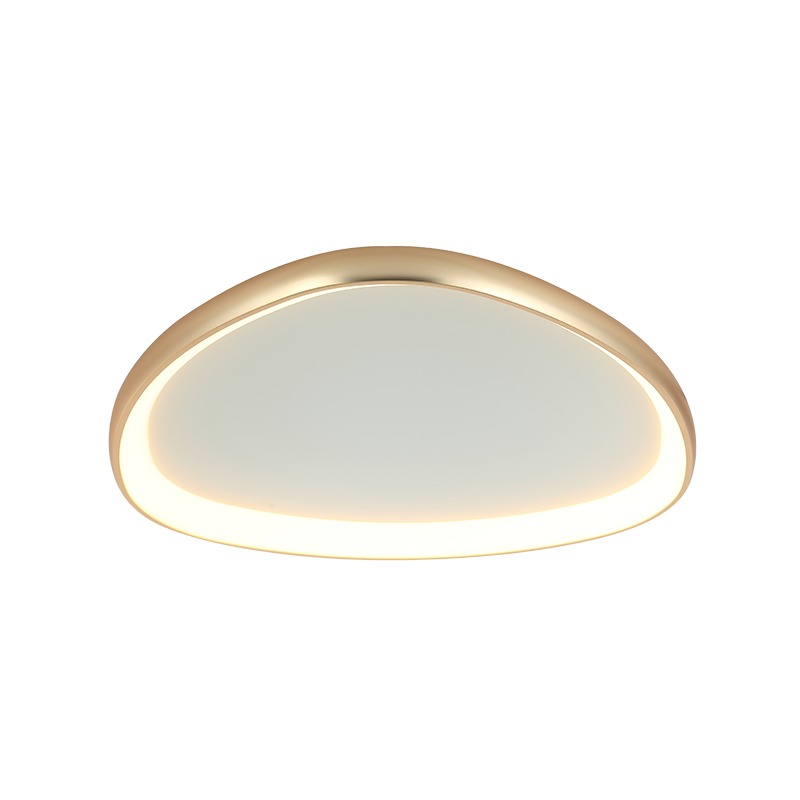Vue rapprochée du luminaire rond, cerclage métal doré brossé