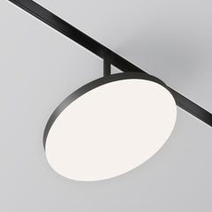 Plato Spot noir