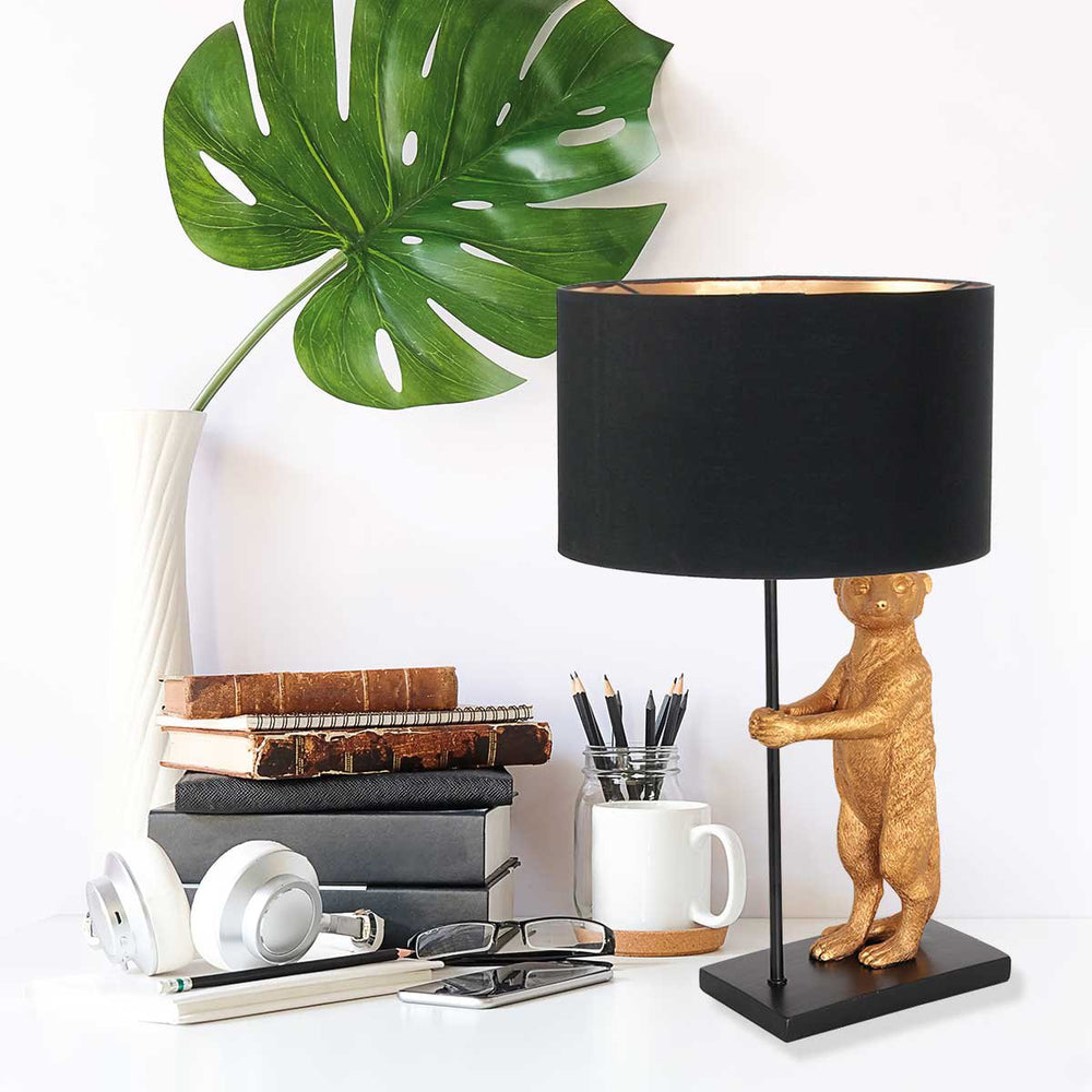 Showroom Designix Lyon