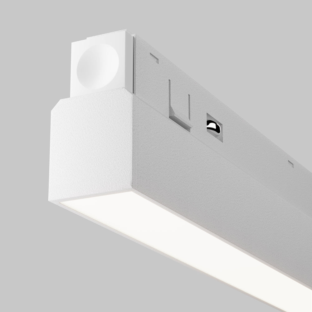 Basis Spot blanc