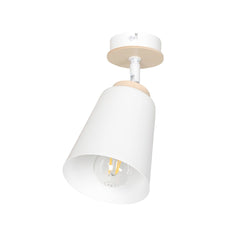 Plafonnier Atlas 1 lumière blanc