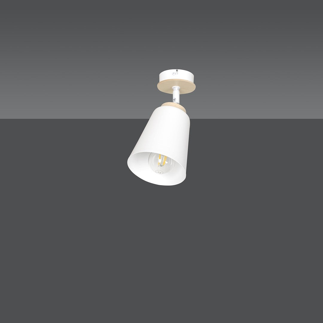 Plafonnier Atlas 1 lumière blanc
