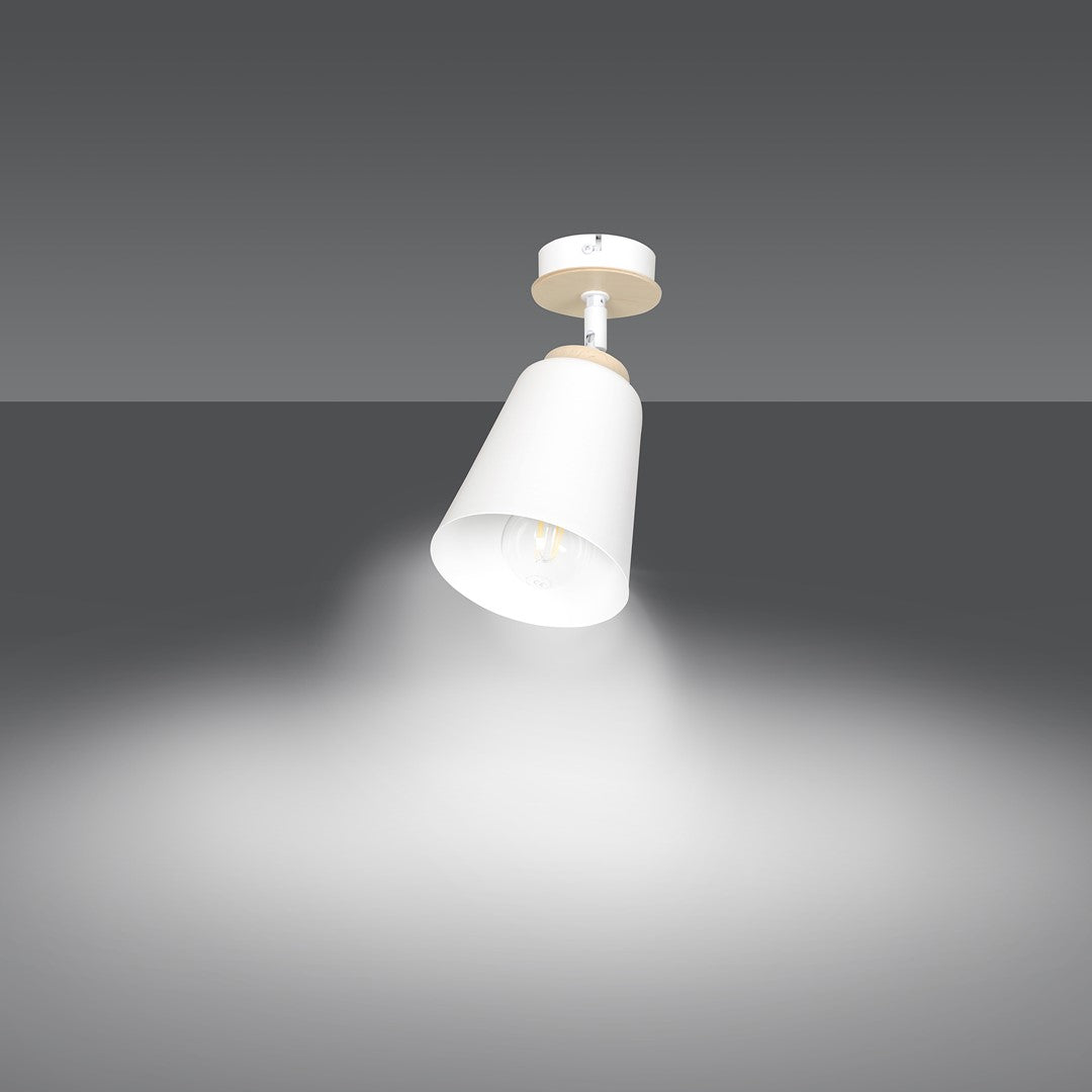 Plafonnier Atlas 1 lumière blanc