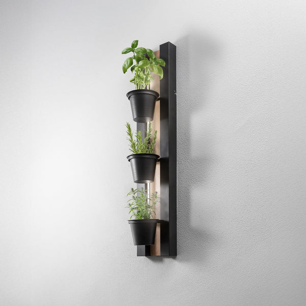 Applique murale LED Shelf en bois, noir, hauteur 90 cm